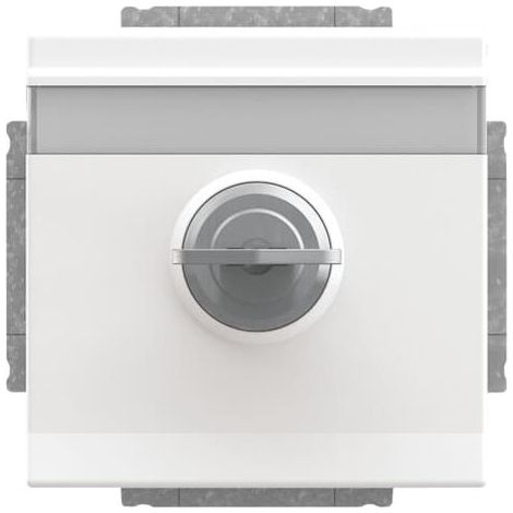 Busch-Jaeger Inserto presa SCHUKO® Safety+ con coperchio a cerniera e chiusura uguale con campo di etichettatura bianco studio - Plattform 63 (20 EUKNBSL-84-101), 2CKA002018A1564