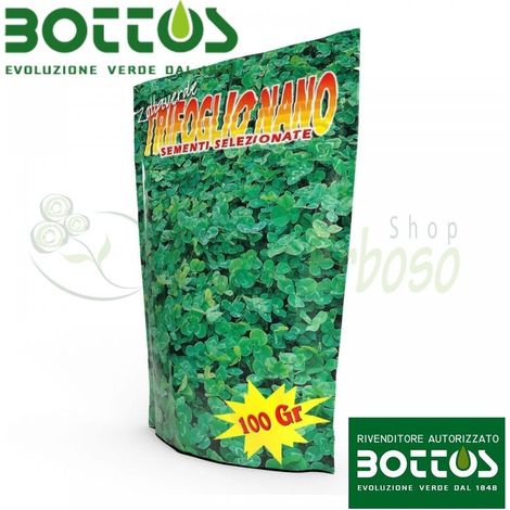 Trébol enano - 100 g de semillas de césped