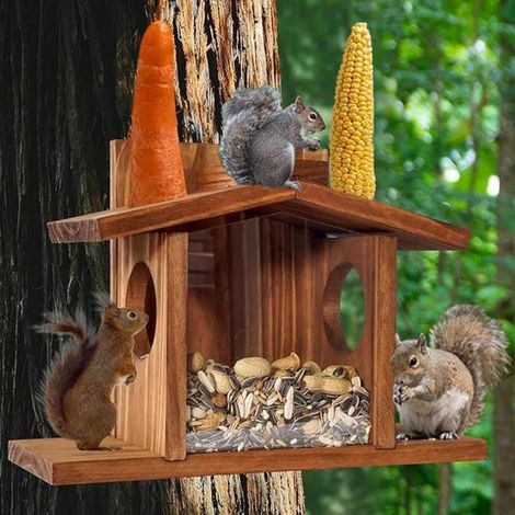 Comedero para ardillas - Comedero para pájaros de exterior - Para alimentar animales - Panel extraíble - 10 x 10 x 10 cm - Color madera (1/5)