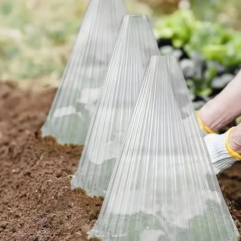 (Vert, 10 pièces) Housse de protection pour semis, boîte de culture, tente de plantation, couvercle anti-dégel pour protéger les plantes des oiseaux, du gel et des escargots (1/5)