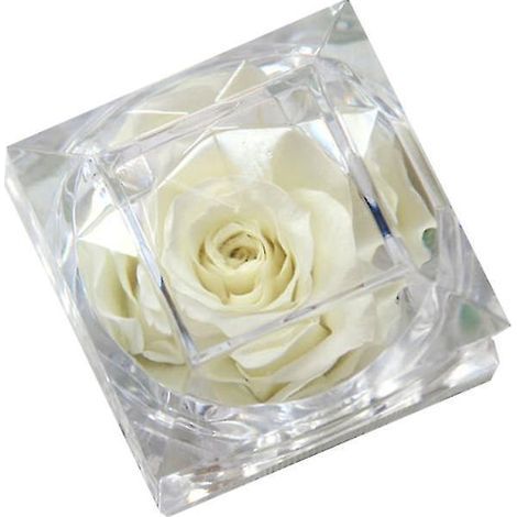 Nouvelle fleur fraîche préservée (1 pièce) (1/3)