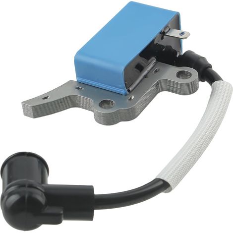 Bobine d’allumage haute tension pour Echo CS-361P CS-361WES – Compatible, Durable et Performante (1/5)