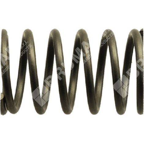 Molla valvole per motori KAWASAKI Compatibile - 017477