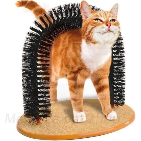 Brosse pour chat, raclette, jouet pour chat, fournitures pour animaux de compagnie, arc épais (1/3)