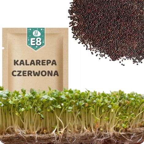 51Seed E08 SEMI DI GERMOGLI - CAVOLO NERO ROSSO 10G