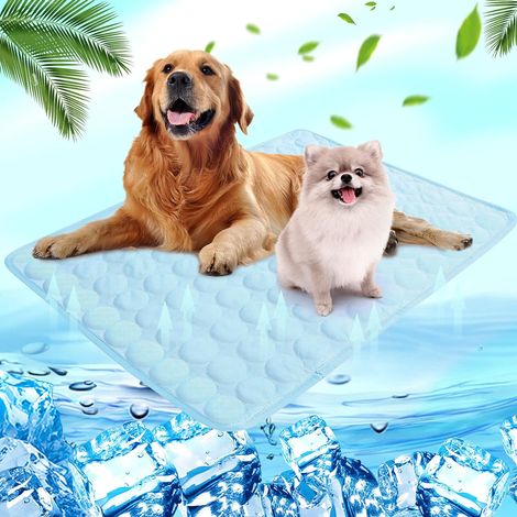 Tapis rafraîchissant chien bleu 50x40cm, coussin gel froid pour animaux, matelas rafraîchissant lavable pour petits chiens et chats, tapis d'été rafraîchissant pour chiot, sans eau ni électricité. (1/3)