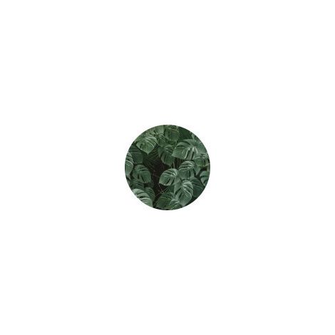 Komar Novel Monstera 125 x 125 cm, Stickers pour les murs D1-023 (1/3)