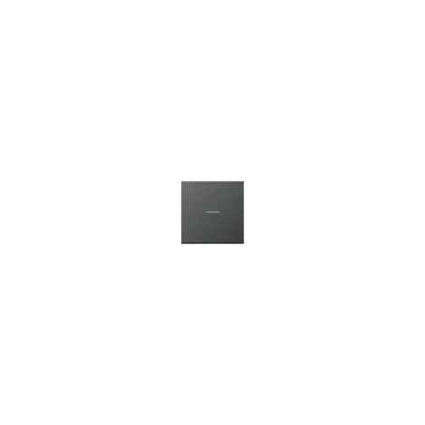Jung eNet Bouton-poussoir Standard 1 fois, avec conducteur de lumière, Aluminium laqué, Série LS, anthracite FM AL 1700 AN