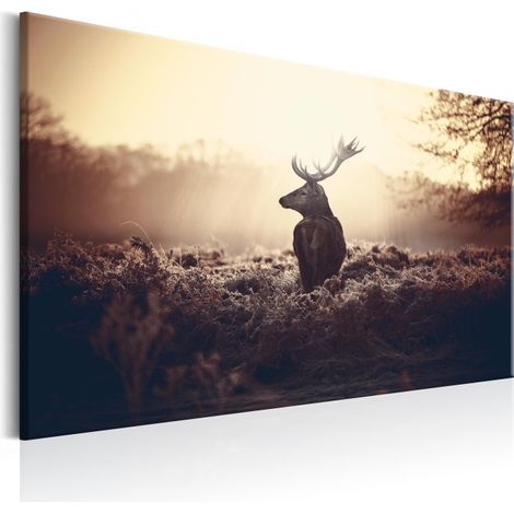 Tableau Imprimé "Lurking Deer" 60 x 90 cm (1/2)