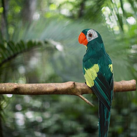 Magnifique perroquet décoratif unique en son genre, oiseau artificiel à plumes pour la décoration de jardin. (1/5)