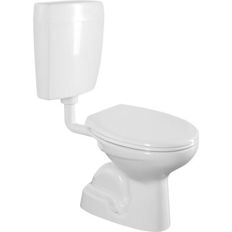 WC monobloc, plaque de chasse double 4,5/6l, blanc (1/2)