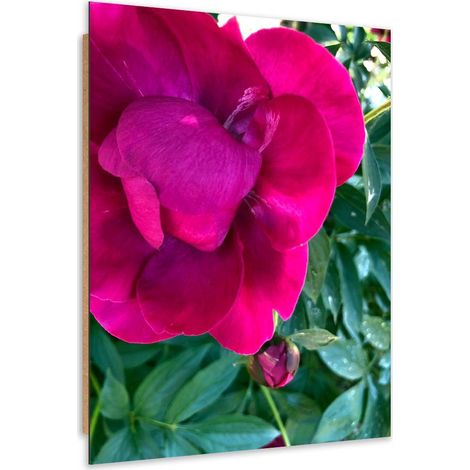 Quadro deco panel, Grande fiore rosa - 60x90 (1/5)