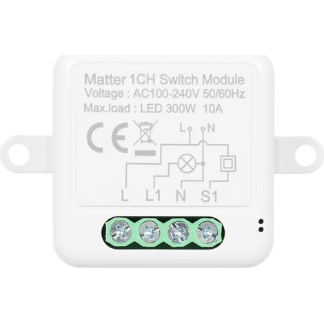 Module relais intelligent WiFi Mini Matter 1 voie interrupteur connecté bricolage 10A pour domotique maison intelligente compatible HomePod Assistant SmartThings