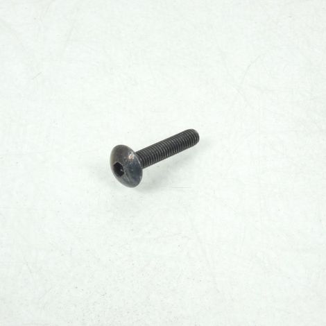 btr schraube m6 p100 30mm für motorrad suzuki 600 gsx-r 2008 (1/4)