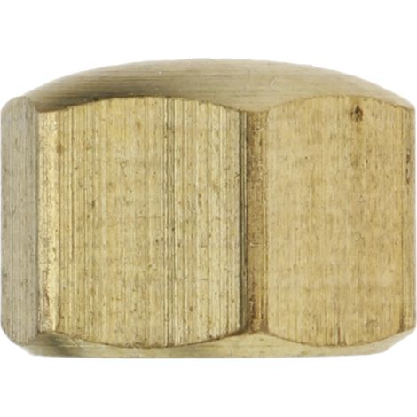 Reidl DIN 917 Sechskant-Hutmutter, niedr. Form, M 10, Messing blank (1/5)