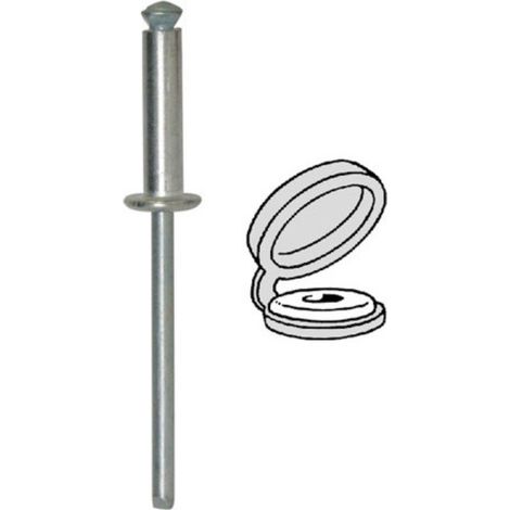 rivet épanoui chapo® blanc ø 4 x 16 mm plaque d'immatriculation (1/2)