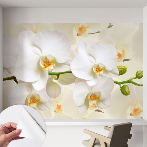 Carta da parati autoadesiva - impermeabile - murale da parete - decorazione murale - Ricchezza floreale 152x104 cm (1/5)