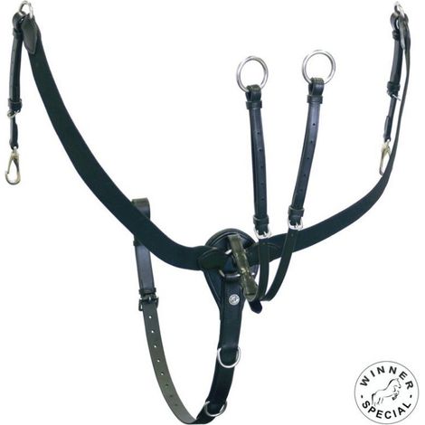 Cob, Nero: Leder und elastisches Vorderzeug mit abnehmbarem Martingal und Winner Special Bindungen (1/2)