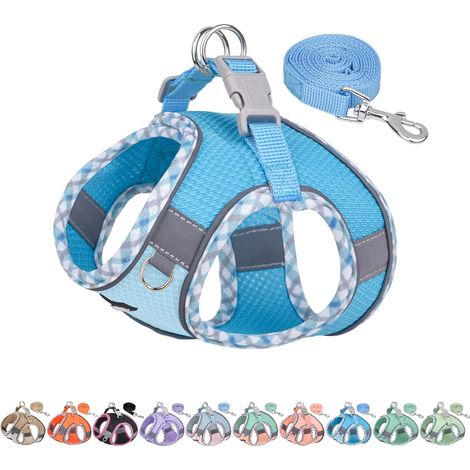 Ensemble Harnais et Laisse pour Chien pour la Promenade, Harnais pour Chiot, Bandes réfléchissantes, pour très Petits Chiens et Chats domestiques Bleu XXXS (1/5)