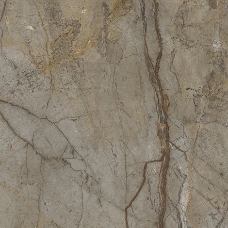Carrelage sol / mur effet marbre brun, gris 120X120 cm - SCULTOREA River grey J454 (vendu par boite de 2,88m2) (1/3)