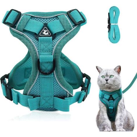 Harnais réglable anti-éclatement pour chat avec laisse - Harnais souple pour chat - Harnais de poitrine pour Chat Chiot, Lac bleu L (1/4)