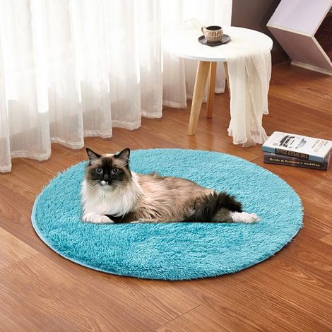 Couverture chauffante électrique Plush Four Seasons avec interface de chargement USB pour petits chiens et chats, bleu royal (1/5)