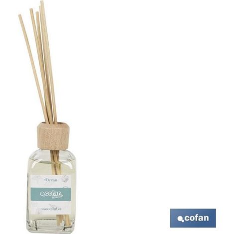 Ozean-Lufterfrischer 50 ml