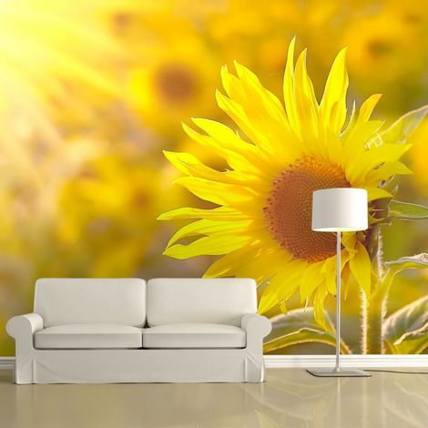 Papier peint tournesols en plein soleil - 400 x 309 cm (1/4)
