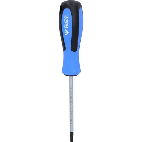BRILLIANT TOOLS Destornillador TORX T25 x 100 mm BT031014