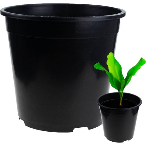 TG72941 VASO DA PRODUZIONE P24 7,5L ROTONDO PER PIANTINE CON BORDO 24X24CM (1/5)