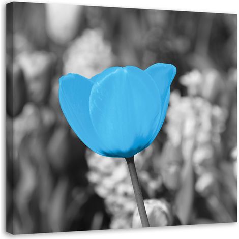 Tableau sur toile Fleurs de tulipes Bleu 40x40 (1/5)