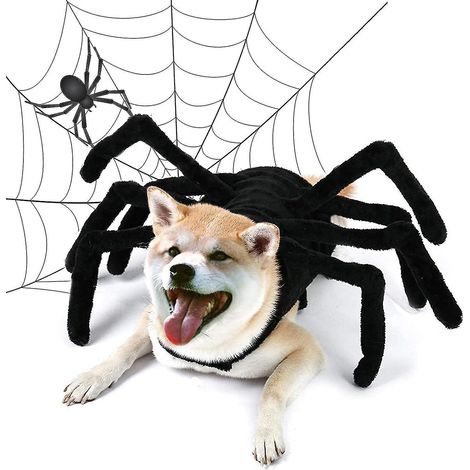 Déguisements d'Halloween pour chiens, costume d'araignée d'Halloween pour chiens et chats, accessoires de déguisement et décoration pour chiens et chiots - L (1/5)