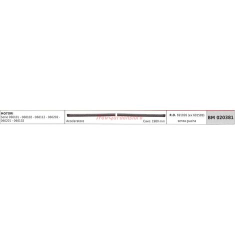 Cavo di controllo acceleratore BRIGGS & STRATTON motori serie 060101 060102 020381