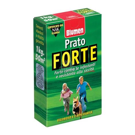 PRATO FORTE VIGOROSO E CALPESTABILE 500GR
