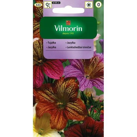 Thuja Variegatum 0,5 g Semi di vilmorin