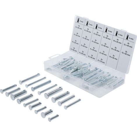 Surtido pernos seguridad bgs acero 2 4 mm 60 piezas (1/4)