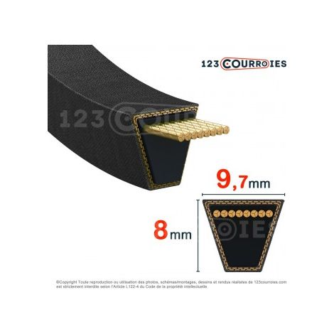 Courroie section 9,7x8 1487Lp AN190205