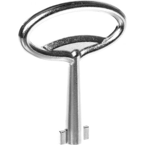Clave /doble bit D5/ KEY-D5-M 001102173