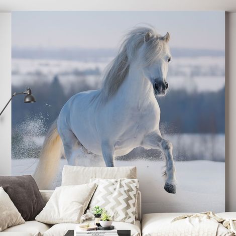 Papier peint panoramique - Cheval - 130 cm x 130 cm (1/4)