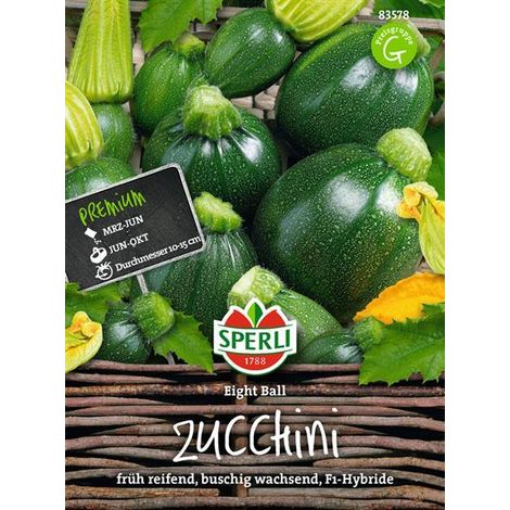 Sperli Zucchini Eight Ball F1 - Gemüsesamen (1/4)