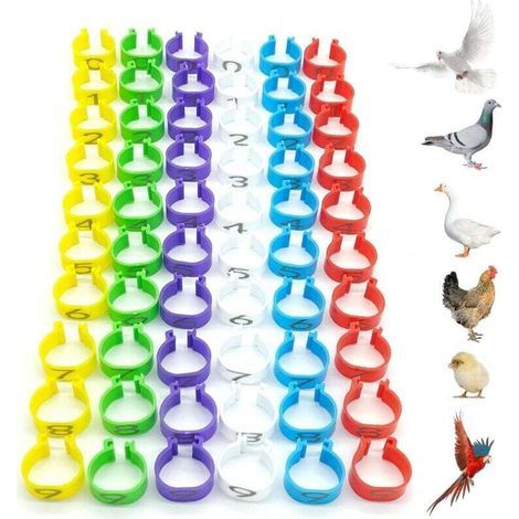 Lot de 60 bagues d'identification pour poules. bagues d'identification pour oiseaux. bagues de pattes en plastique pour perroquets. diamètre 16 mm. numérotées. pour le marquage des bagues de volailles (1/4)