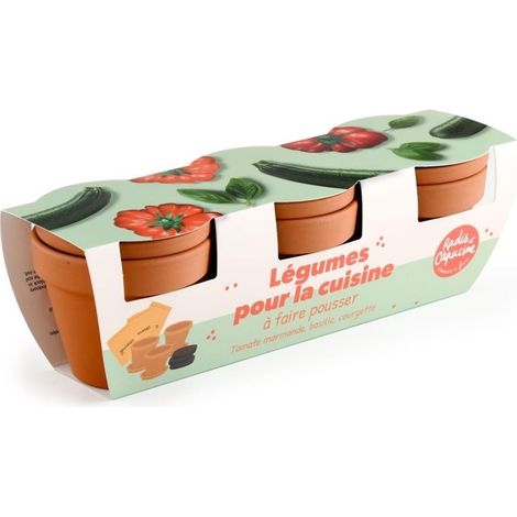 Trio légumes bio pour la cuisine – Tomate marmande / Basilic / Courgette (1/4)