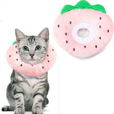 Collerettes pour Chats Chiens Collier de Protection Confort Ajustable Collerette de Postopératoire Récupération Anti-Morsure Protection (Fraises, M) (1/5)