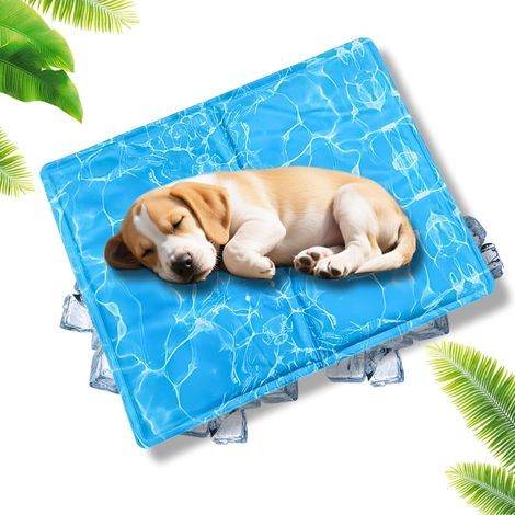 Tapis Rafraichissant Chien 65 x 50 cm, Tapis Rafraichissant Chat Gel Non Toxique pour Petits Animaux, Imperméable, Auto Rafraichissant pour Chats et Chiens (1/5)