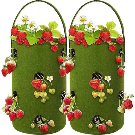 2 Paquets de Sac à fraisiers, Sac de Croissance en planteur de Fraises en Feutre avec Trous Vert