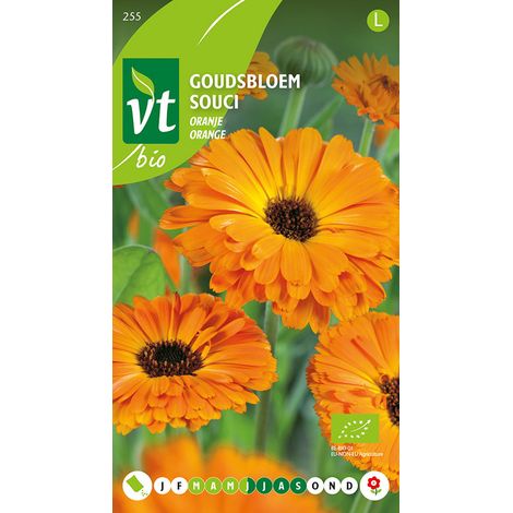 Souci Calendula Fiesta Orange - Ca. 2 gr (Livraison Gratuite) (1/2)