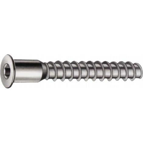 FPLUS tornillo ensamblar 5x50 x100 , PARA EL ENSAMBLAJE DE TABLEROS DE AGLOMERADO

CINCADO

CABEZA ALLEN 

DIAMETRO 5 MM

LONGITUD 50 MM