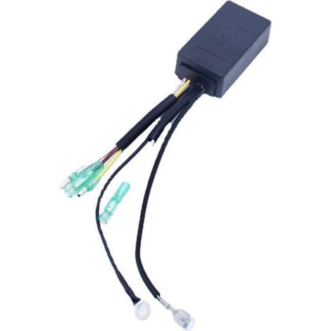 Zündbox für Tohatsu 2-Takt 4/5 PS Außenbordmotor - Kompatibel mit 369-06021-0. (1/5)