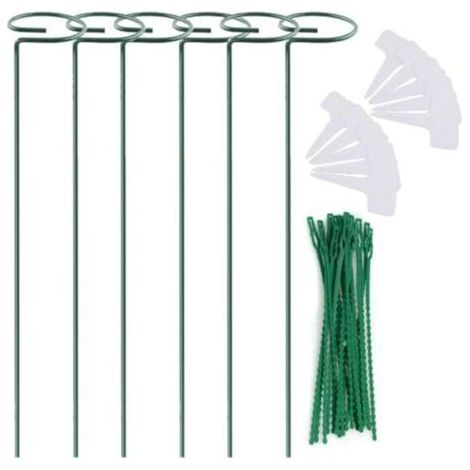 Lot de 6 tuteurs pour plantes - Tuteur individuel de 45 cm (18 pouces) pour jardin, anneau de support pour cage à plantes, tuteur (1/5)