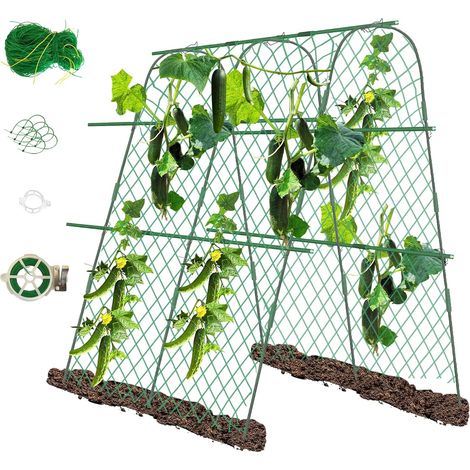 Trellis Outdoor Climbing Plant, 160 x 140 x 120 cm Trellis Garden, Support Climbing Plant, Vegetables and Climbing Plants, Flowers and Fruit Plants (1/5)